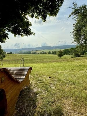 Geführte Wanderungen - Holzbank unter Bäumen