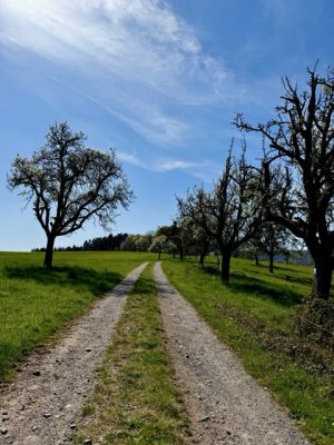 Kulinarische Wanderung - Weg durch Felder