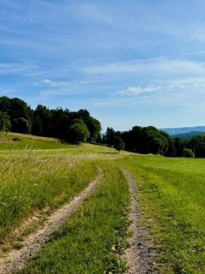Familienwanderung - Weg durch Felder
