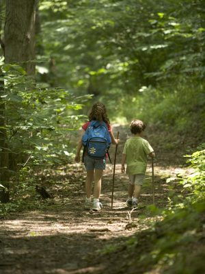 Familienwanderung - Kinder beim Wandern